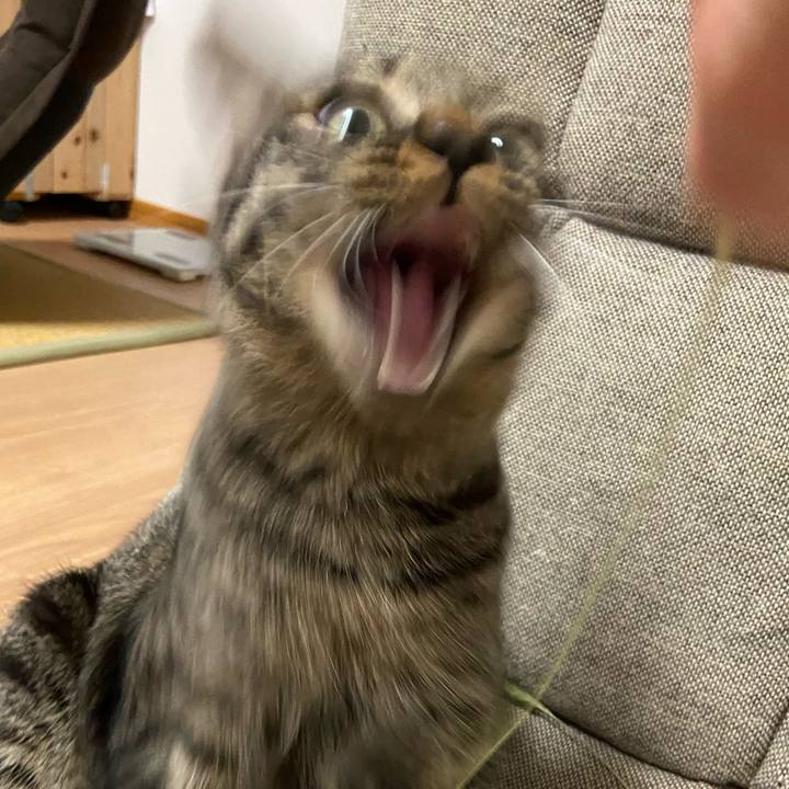 5083e843 f11e 4a7e b2cb 82b49f67d3a8 1627565472393