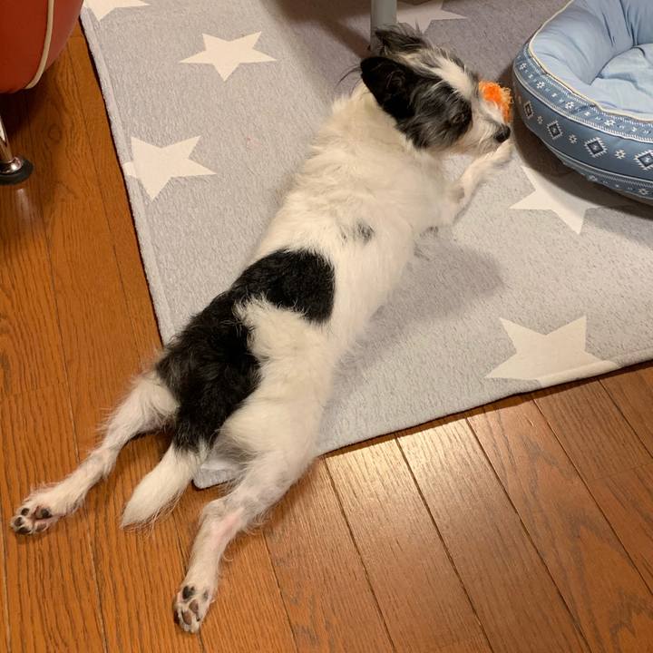 508401c3 fef6 4824 812e 6cb7e7179e6d 1566307318721