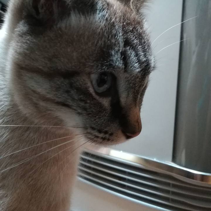 50841df8 ab83 4168 8095 f6186d5daf4b 1545986714814