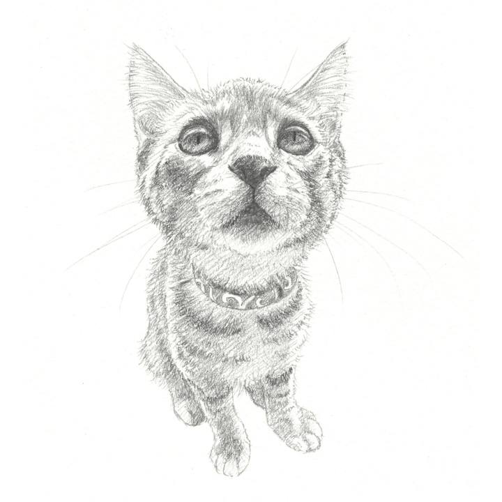 5084312b 2996 4018 8b65 0f6a8a0d7e83 1552137442770