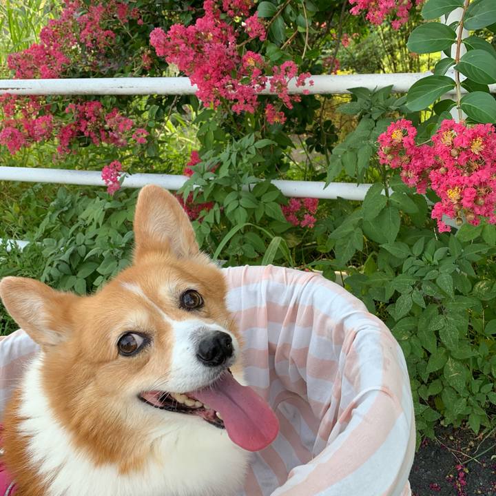 50846abf 9af0 4342 9517 b8588454df6f 1722636214495