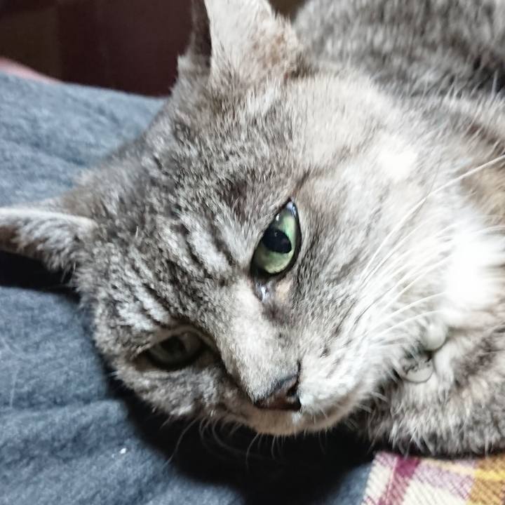 5084a0d1 305e 4c93 a50b 92bfe1805fc3 1575027199351