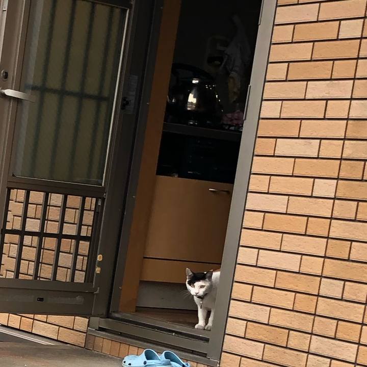 5084abf2 e83f 4f84 bf5b c5c3cb154633 1626476058989