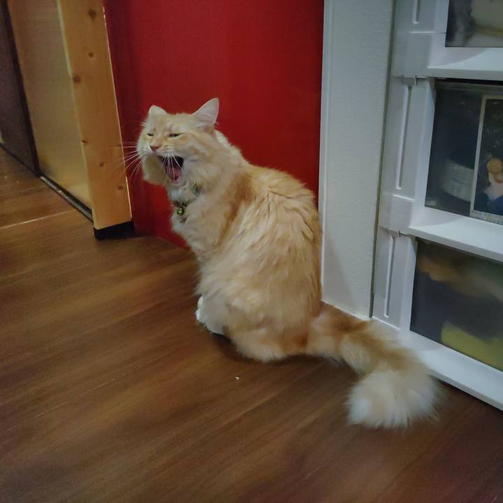 5084b81d 13b9 4171 9b8d c980f9c5fb4e 1694699246814