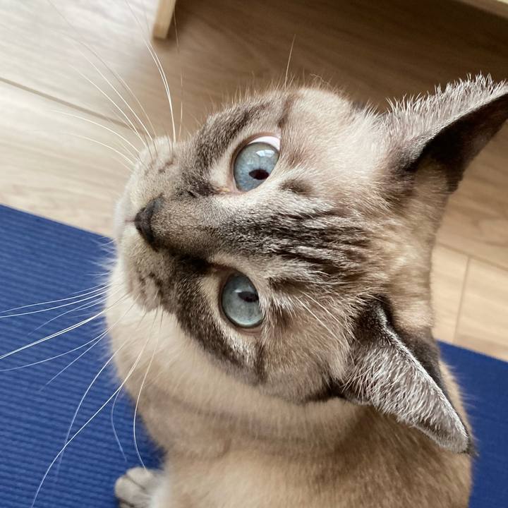 5084c3d0 0fac 43bc 9709 4522404e8342 1757816404542