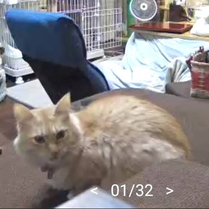 5084d4c8 bdf8 4b86 b9eb 374c3a727156 1641460374649