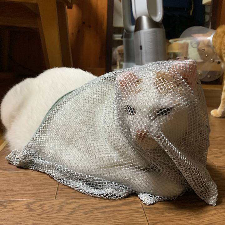 5084fbb0 91bc 451d b7a1 ede8083f5b24 1631804181048