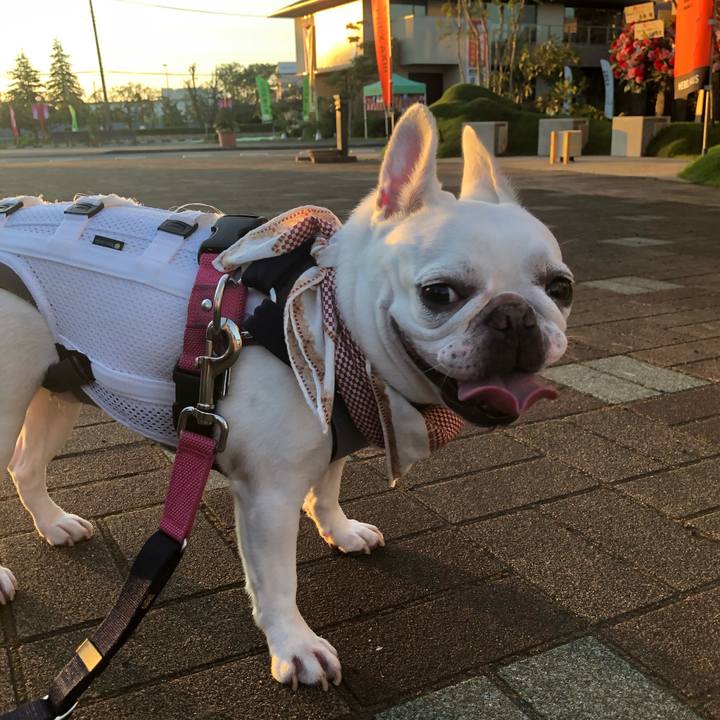 5084fe08 8e8d 4b53 87be 2f7083684fea 1599312126152