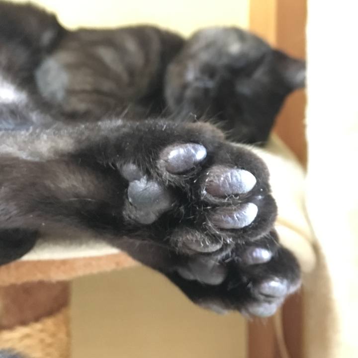 50853e4d 1c70 4593 90fc a0bad5260d39 1554083426769