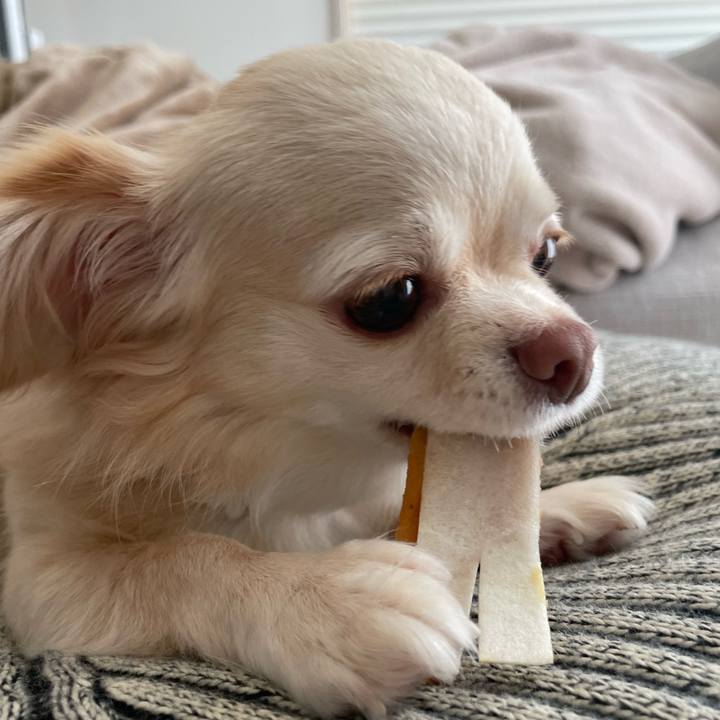 5085ae9d 8074 429e 89b6 107c293bc5cf 1692531291445