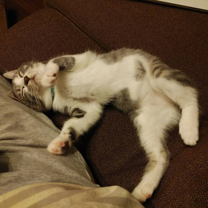 5085b560 9ae9 4899 9e26 f173aef672c5 1563541722673