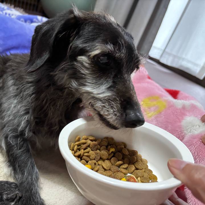 5085bd05 b1e7 4469 99c8 a0aa76904218 1762384249349