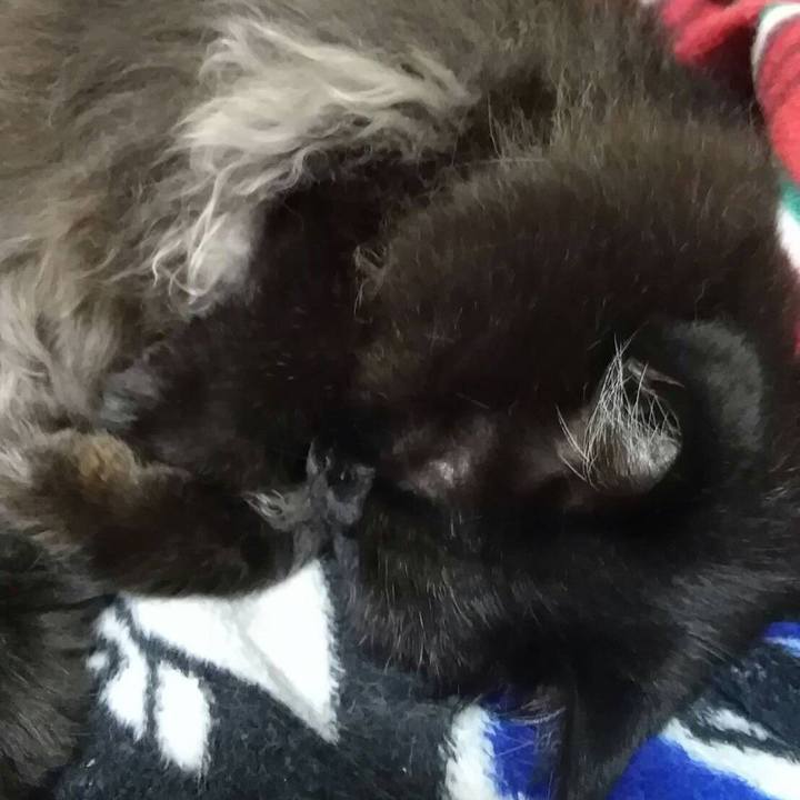 5085d036 0e63 4d0e 8a79 b9901e7226df 1508841283459