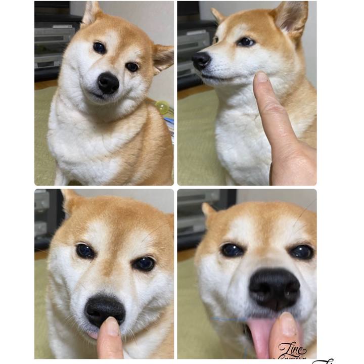 5085e37b e672 4c3d 882c ef326e61baac 1578668247595