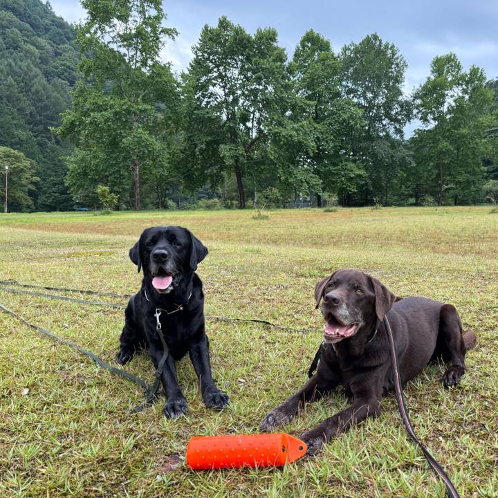 5085f8f5 8438 494e 82a0 24f7ca42aa67 1757837169459