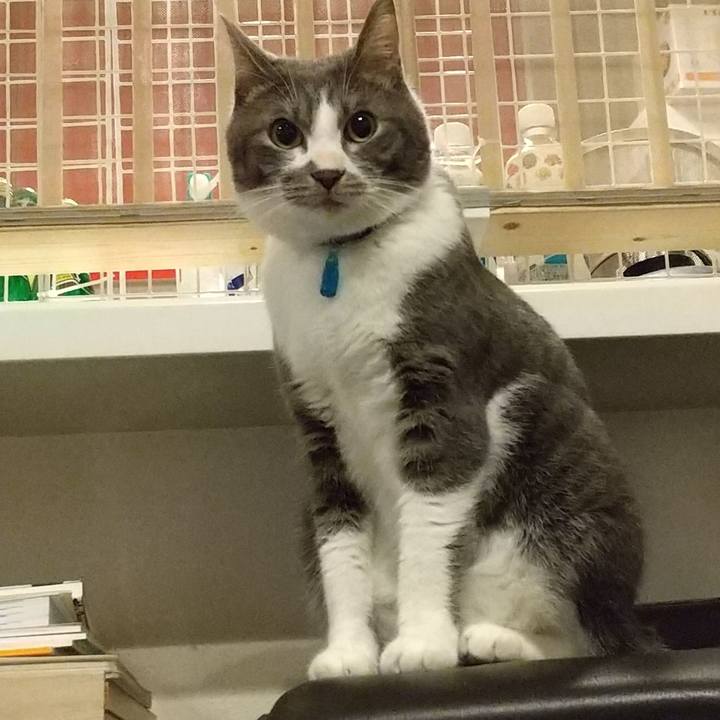 5086043f a87e 4e26 b32b 9cf4cffcd53d 1610020533736