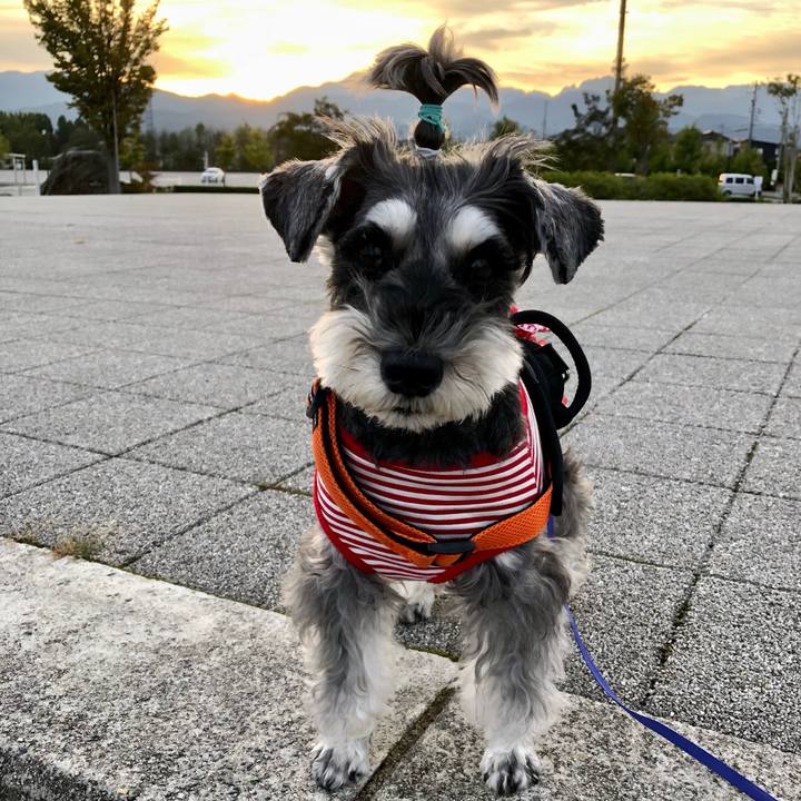 508612f7 cb1c 4d6c 9962 362441973cfd 1697236392548