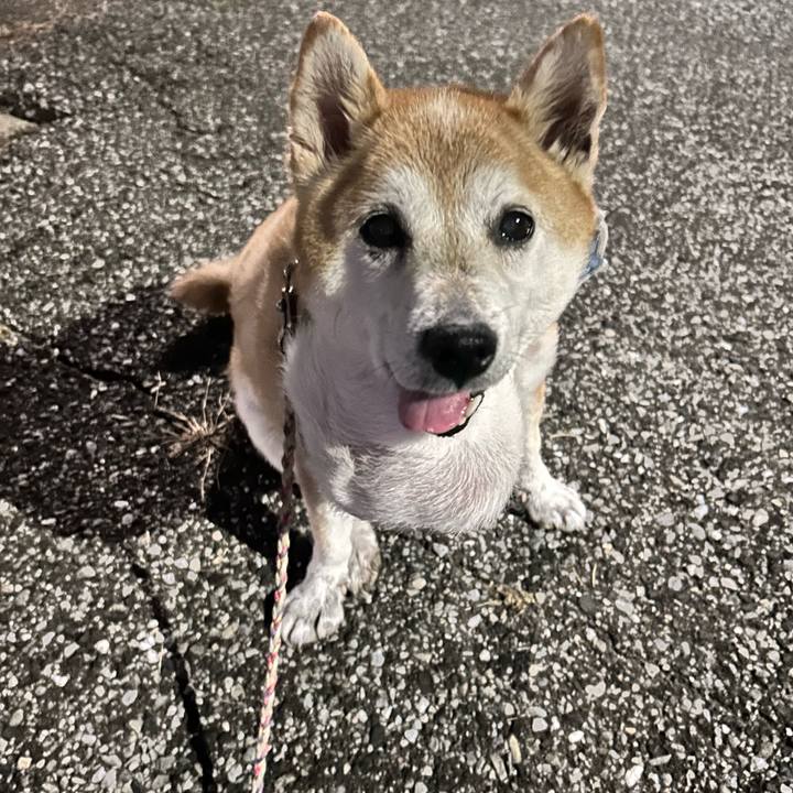 50861da8 339b 4f6a 9f2f 891c98cc7824 1759656283392