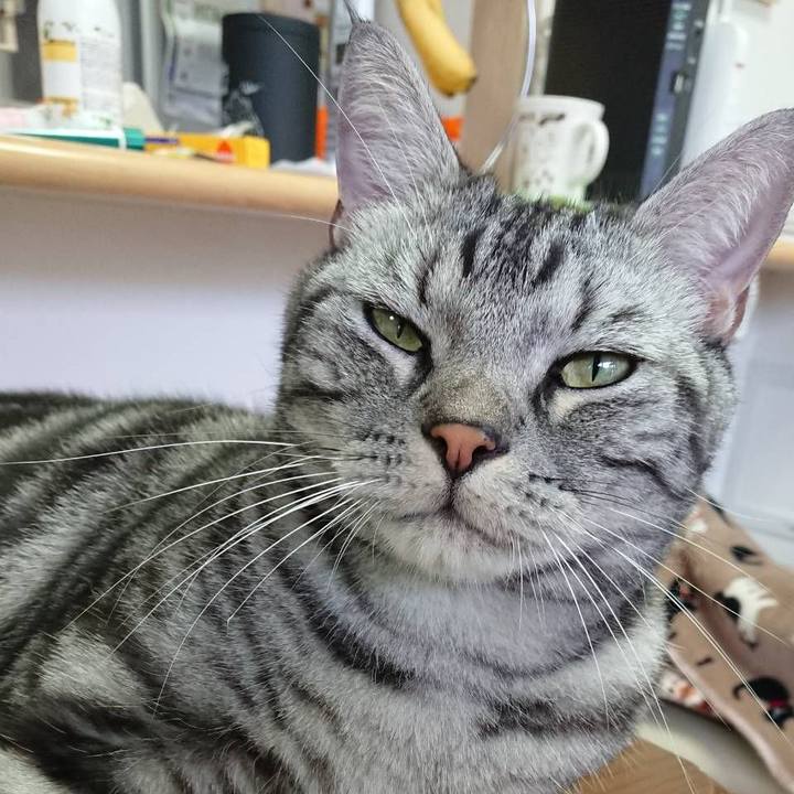 50861f7a 876e 408d 8a0f 025bc81b5f18 1547517743705