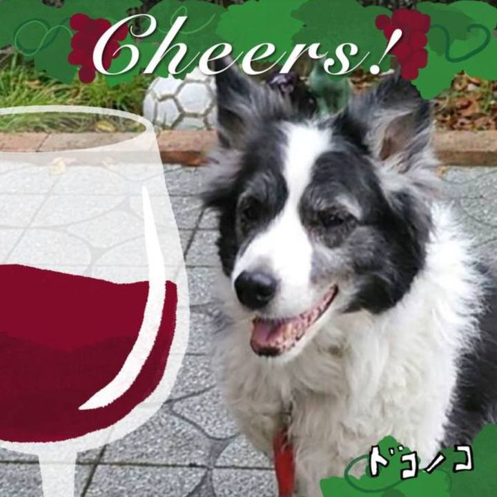 5086355f 94b6 4922 8a9b f7e3f5dcf2c7 1764217610926