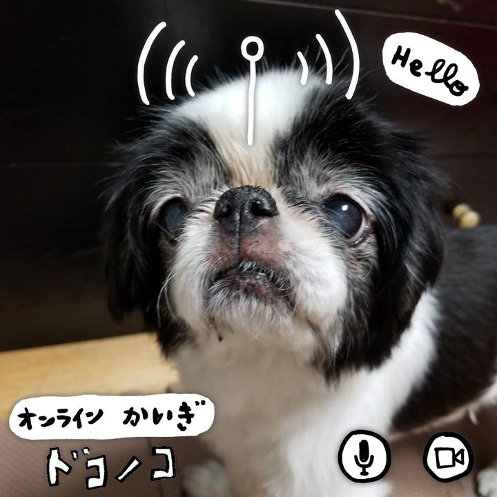 50864979 a3d2 4c7a 966a 8233eefa8a6a 1591363235226