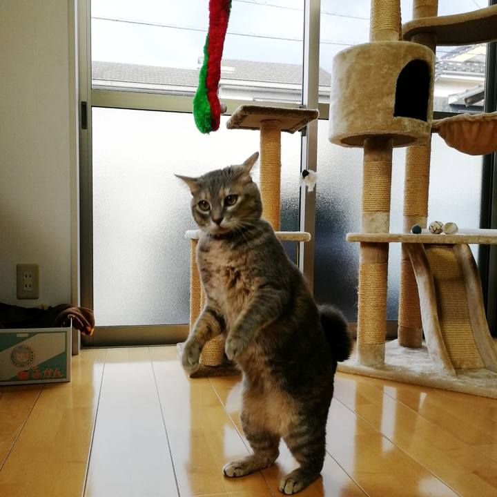 50865fc3 dc05 4d59 9092 ee3f7a60760e 1544679436226