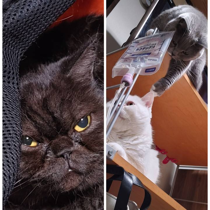 50867d22 4fe2 4c63 9d2d a2fb6e319688 1634645556009