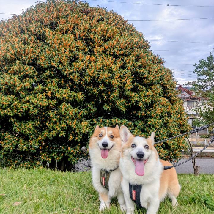 50867df0 c788 4af7 af09 368591a1c3fb 1761278814534