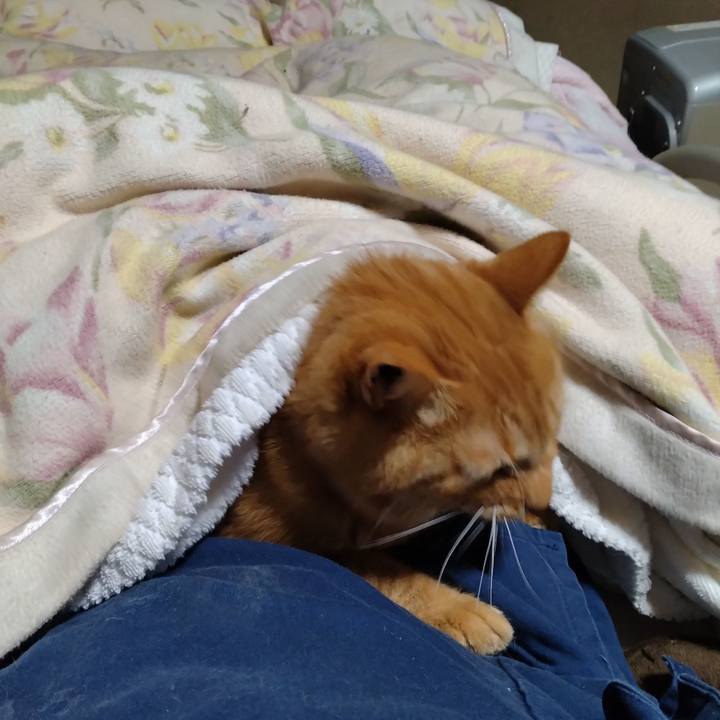 50869812 a4c7 4ac7 ba16 d8013871c265 1697292937690