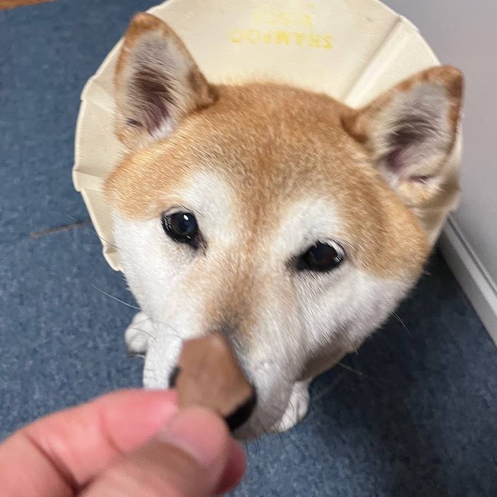 5086c9af 47ad 45a5 ac58 962e1dd6ae8a 1715769358128