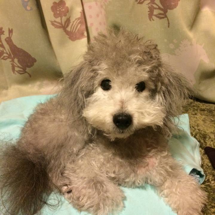 5086ce47 fe4a 44f3 b10c a97a6b06d685 1512129915896