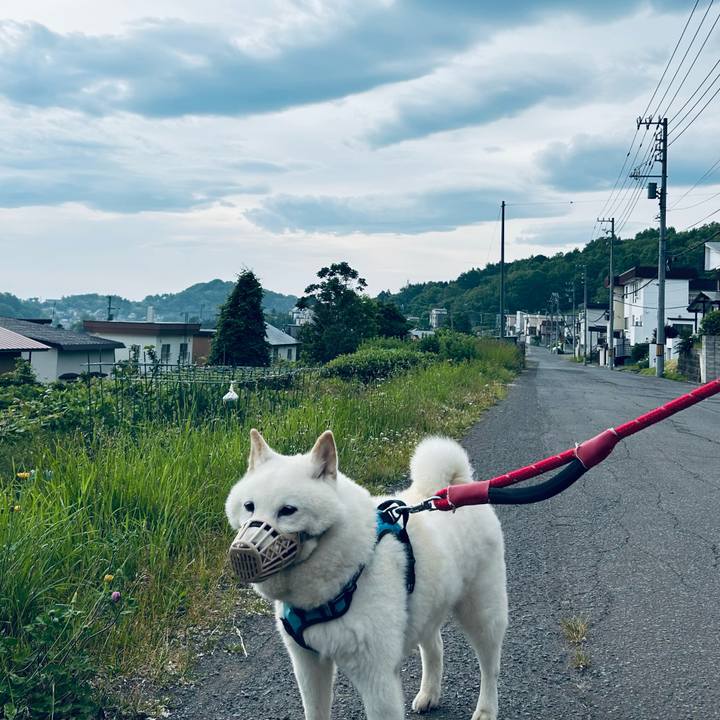 50872911 c8dd 4f9c ac43 03ce1bb23c60 1750454137853