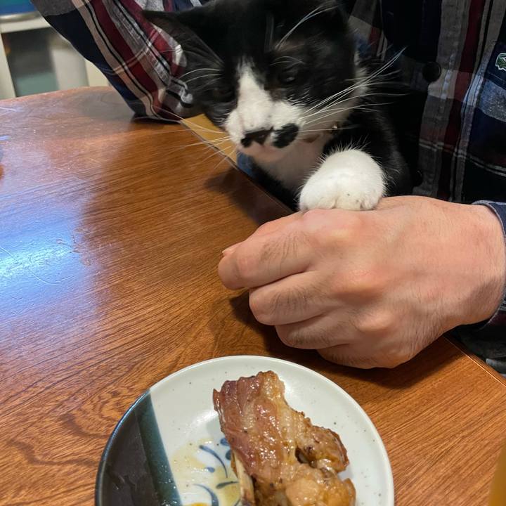 50877a1a a969 4f25 9bc6 e4ff169e8e99 1651543409868