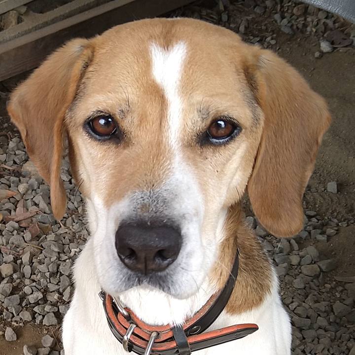 5087a4ea f7b1 4256 be48 d367b0ecce57 1648526896585