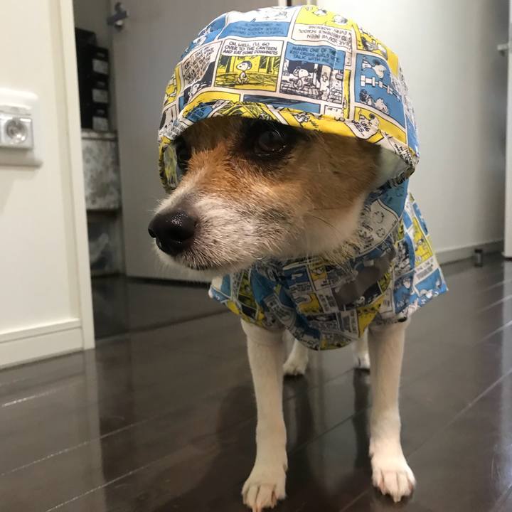 5087aace 978b 4e15 b7ff 37322b90828b 1524618913104