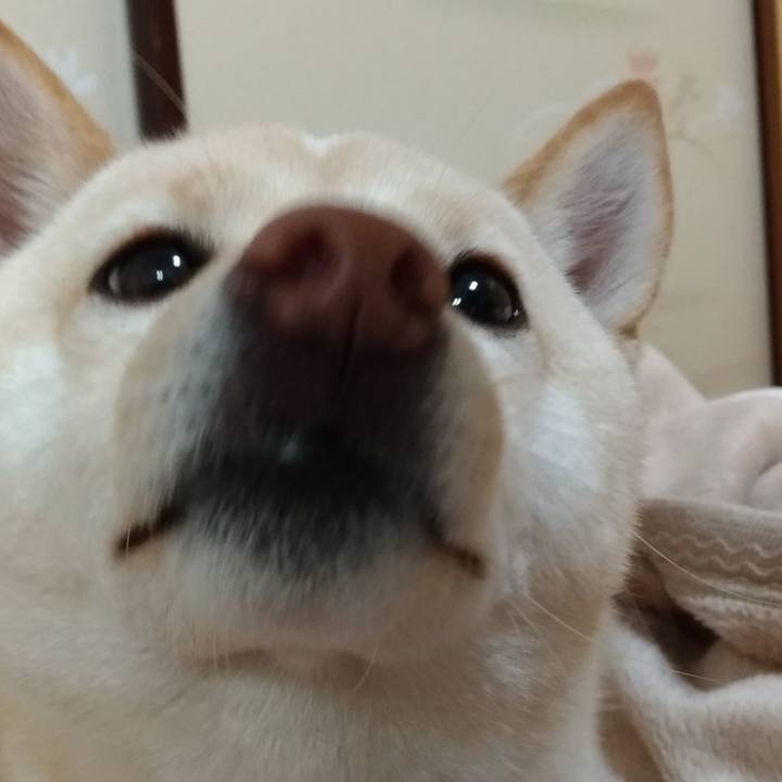 5087adce 3c77 482f 9631 010efd4f898e 1548851745108