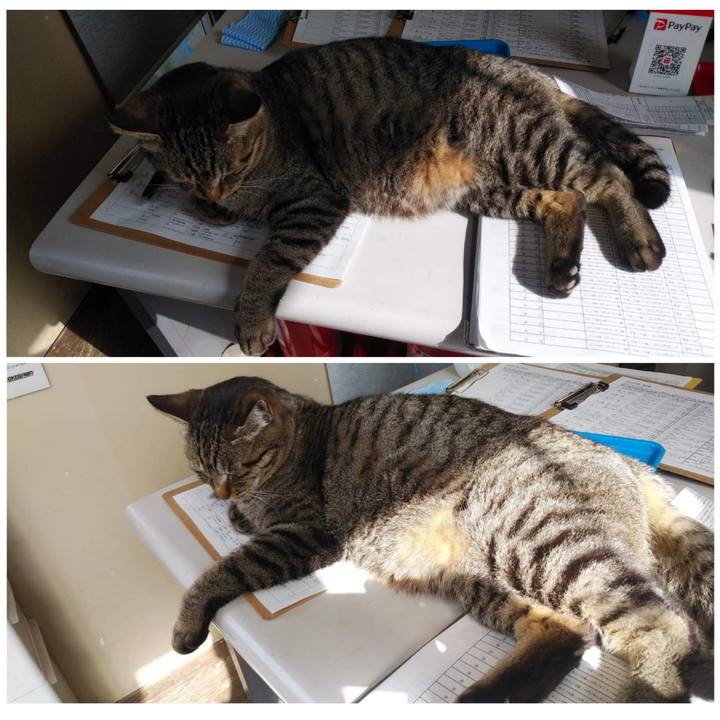 5087b1a3 30a7 4df5 8bc2 ffd18a216d4d 1647437563831