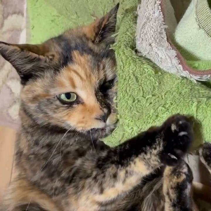 5087c5b5 5a48 4712 9624 0268847c327a 1766261035973