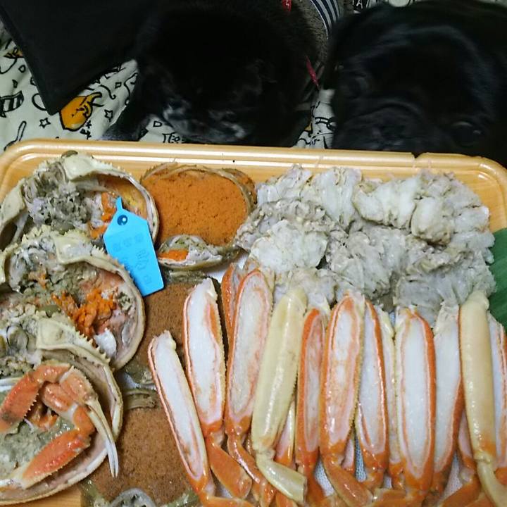 5087e8d5 af35 44db 96ed 797a24edba5f 1546165543450