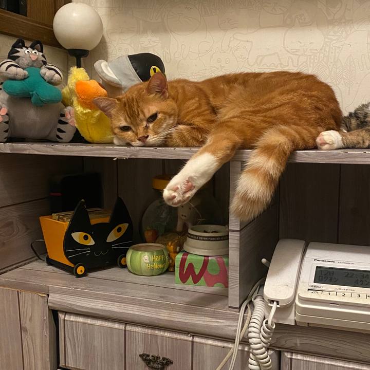 5087ee7f a3f9 44e8 8056 d9e6bf5b8aa0 1597240770144