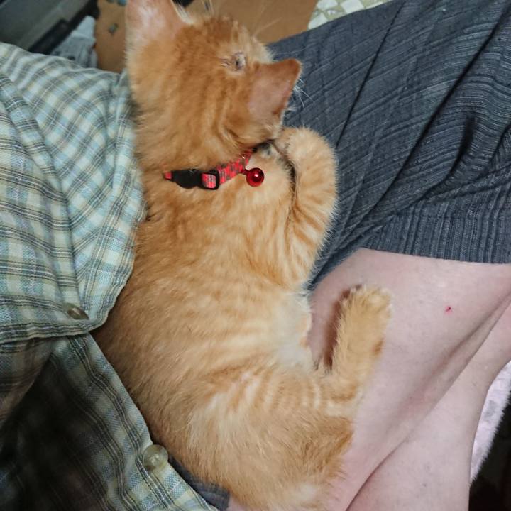 5088f6ab 90da 4b13 b139 ae1213bf0601 1627990791563