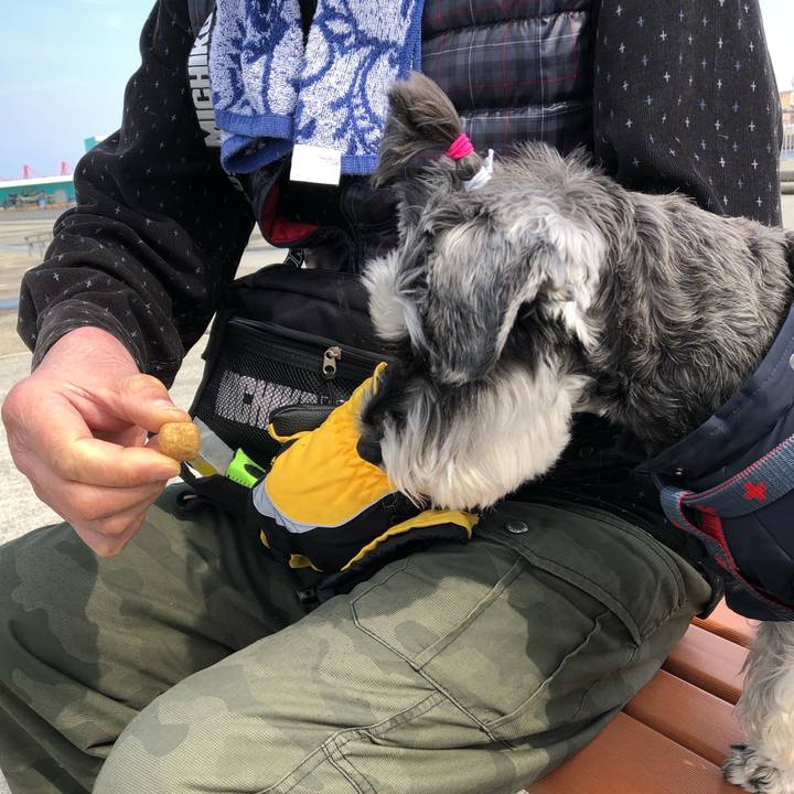 5089174c 3621 4b89 aad9 4f567e86a5e3 1645853509466