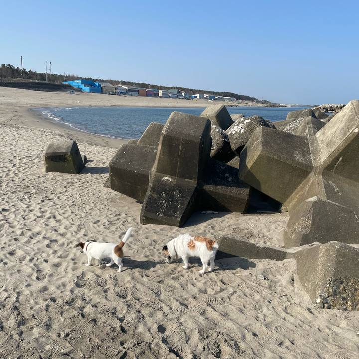 50892b55 9382 4392 a40d c0de43c50c49 1649722556940