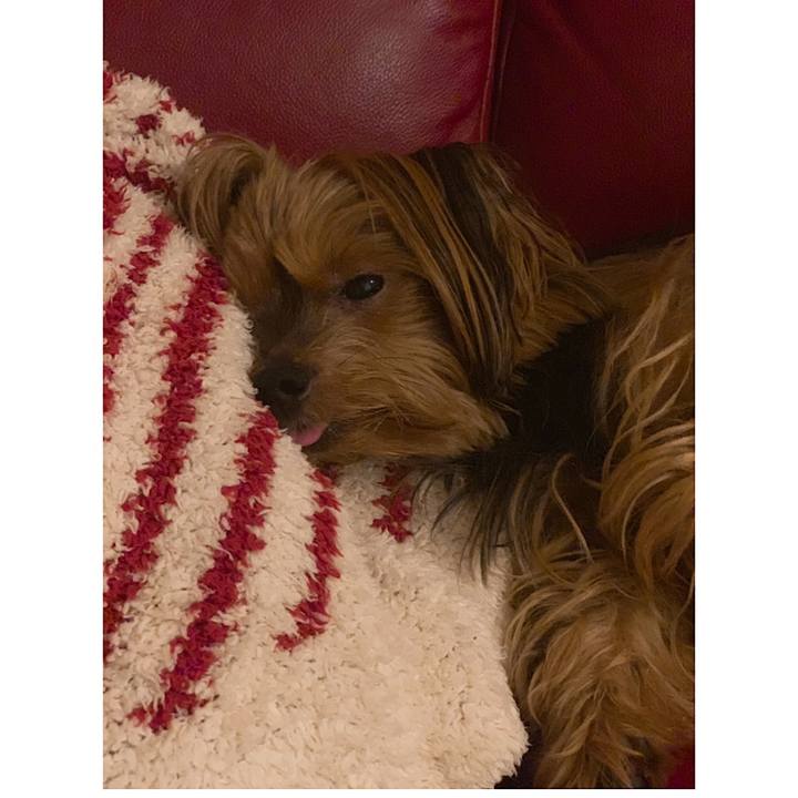 50892f5b 31fe 4e64 8a7b afc903f7fbea 1562758649466