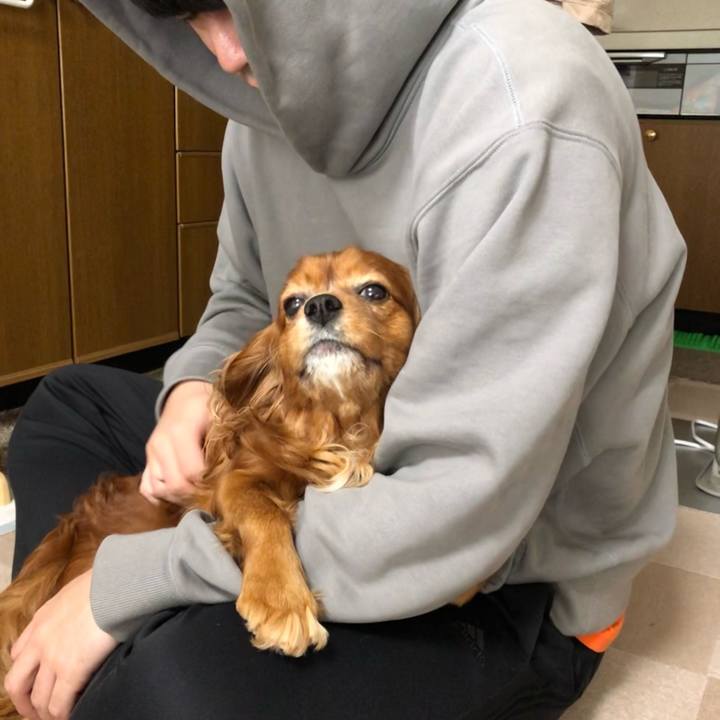 50894a4b 8d4f 4bdc 9b2a 93620a37460d 1648592210622