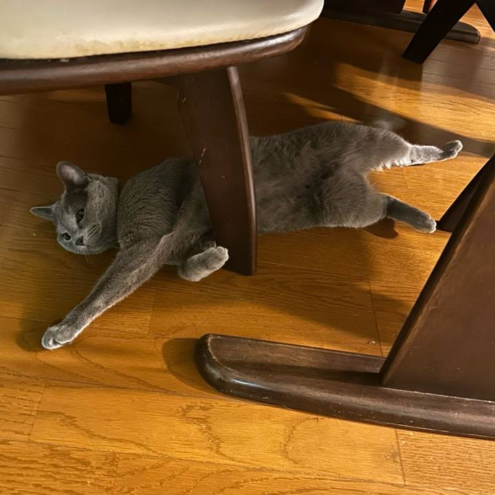 50895982 07c0 4955 95e4 d63721c15ab8 1715312237341