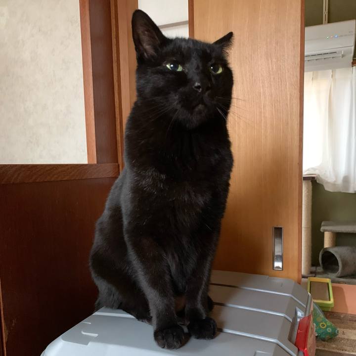 50897d3d 74df 4cab b974 0a41ce0d2d31 1585619048130