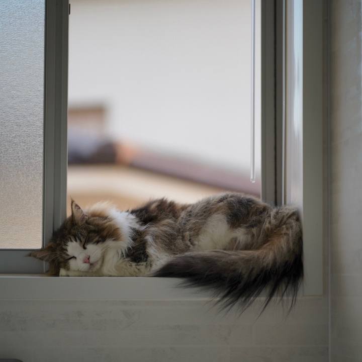 5089a3df 3d6a 4c77 8a87 bef23c061ec4 1690021020429