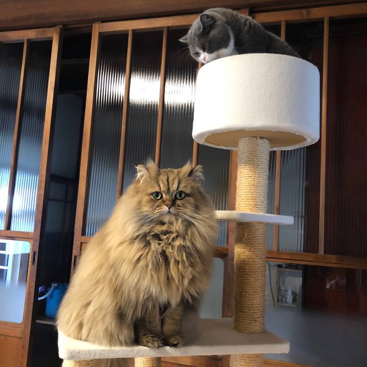 5089c0ce e6eb 4953 8485 0a6d80aa4e4c 1579947929763