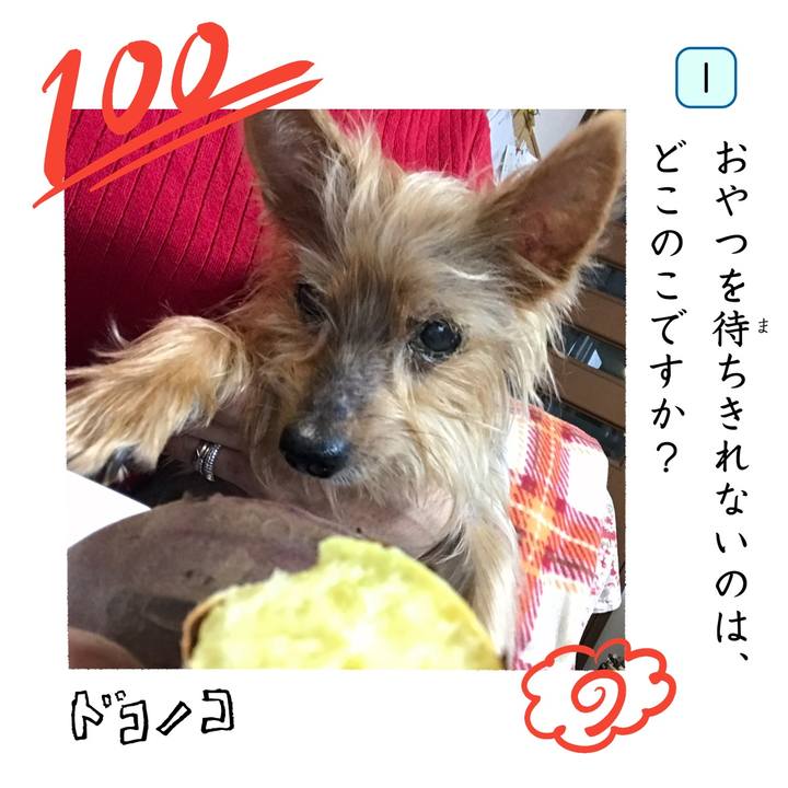 5089ca3e 5a86 48a6 96d8 a7cffe32706a 1744445871339